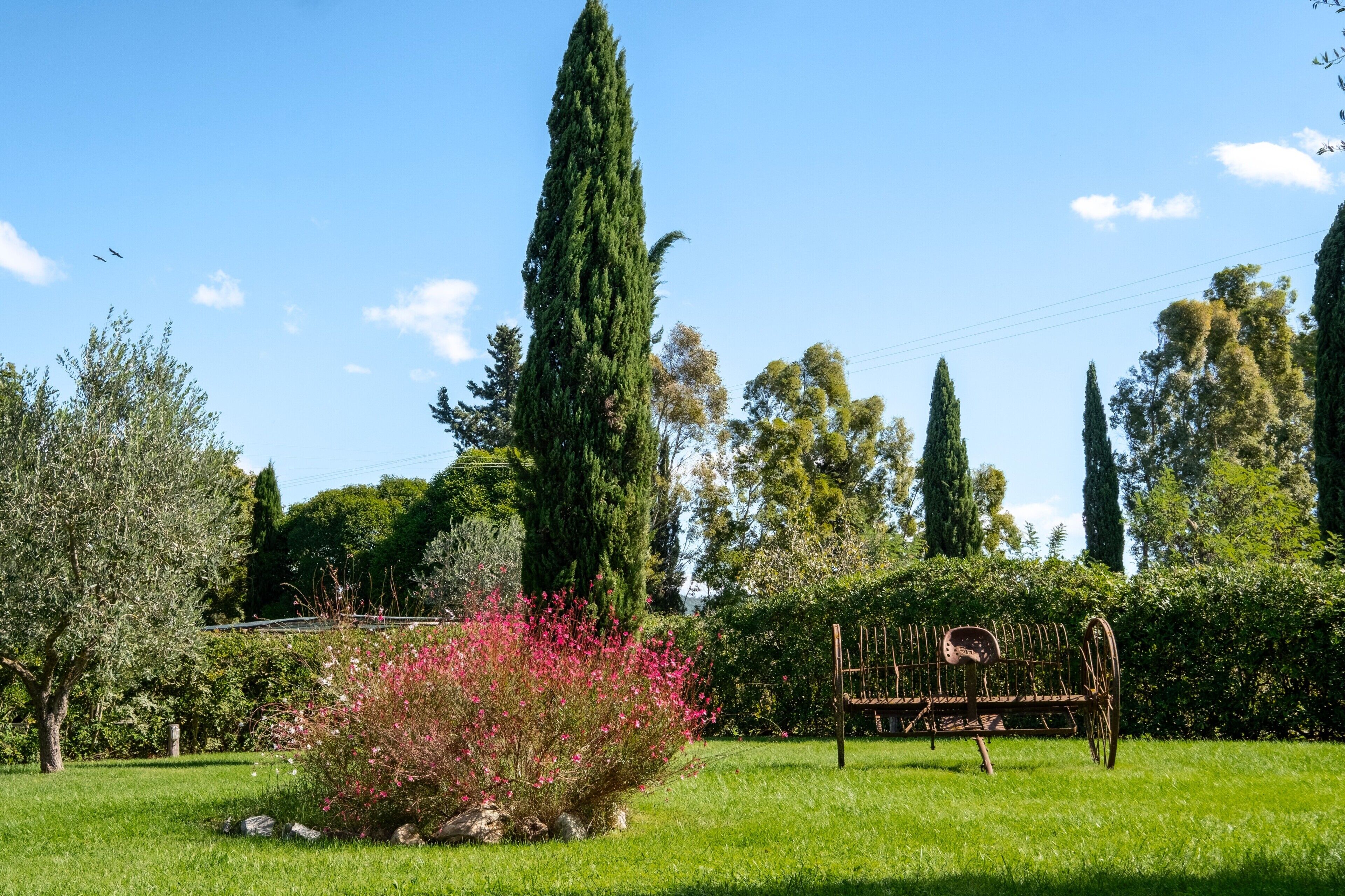 Ein Garten mit einer Metallbank, hohen Bäumen und blauem Himmel.