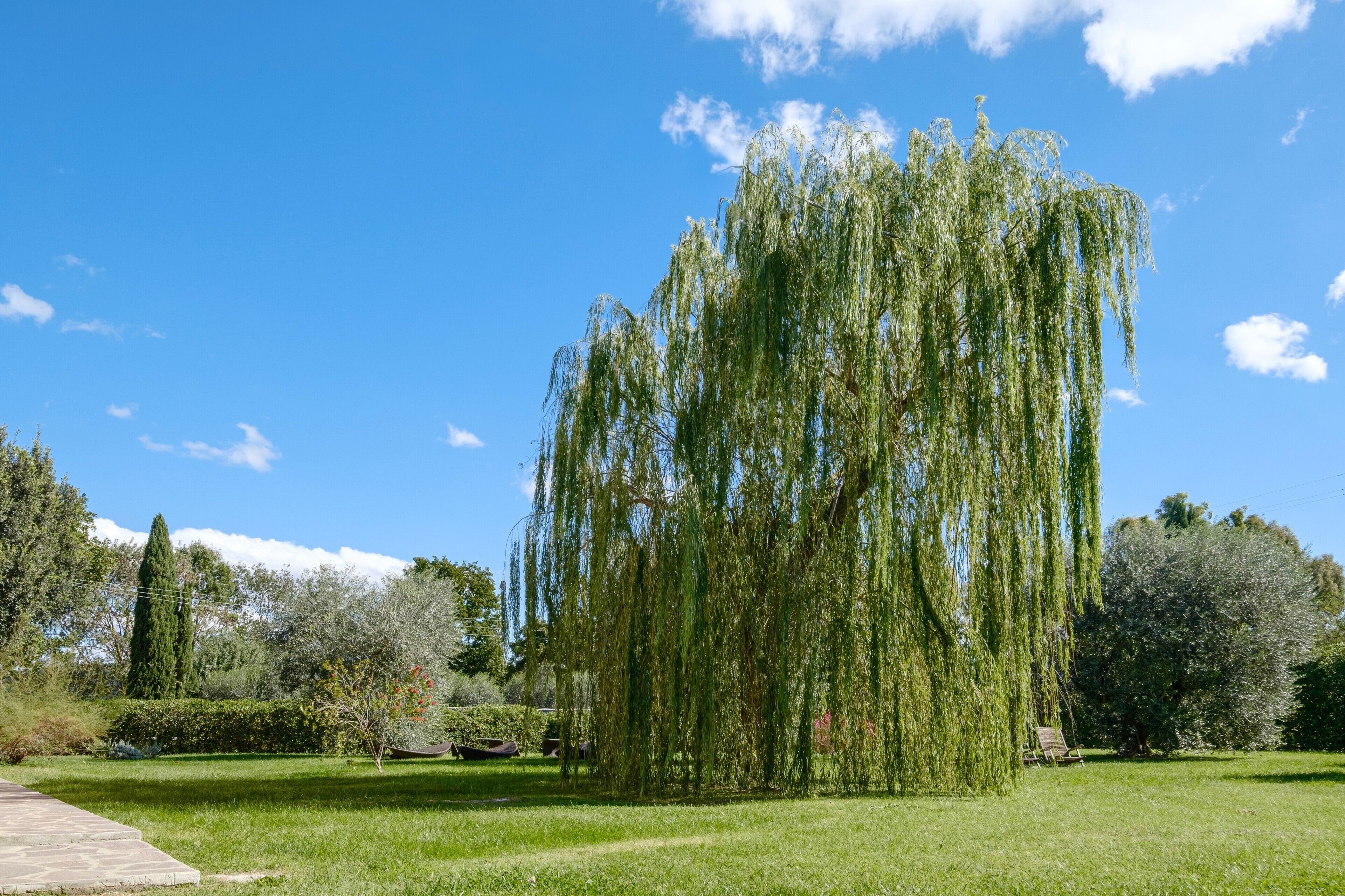 Terrein van de accommodatie