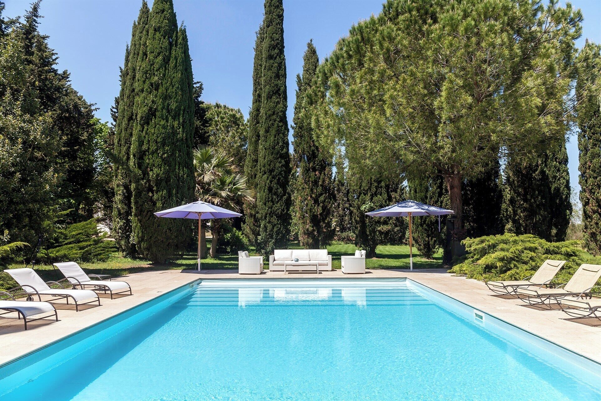 Une piscine entourée de grands arbres, avec des chaises longues et des parasols.