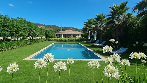 Une piscine avec une maison en arrière-plan, entourée de verdure et de palmiers.