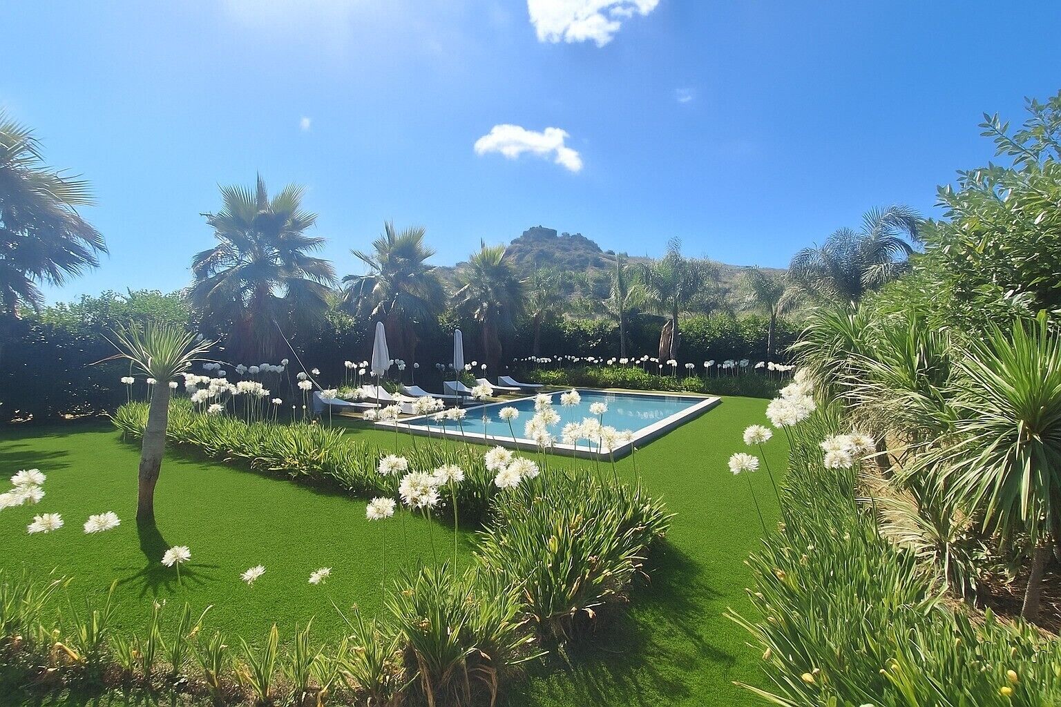 Uma piscina rodeada por vegetação exuberante e palmeiras, com um céu azul e límpido.