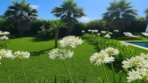 Une pelouse bien entretenue, agrémentée de fleurs blanches, de palmiers et d’un espace piscine.