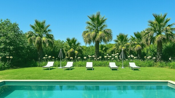Une piscine entourée de chaises longues blanches et de palmiers.
