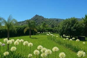 Parco della struttura