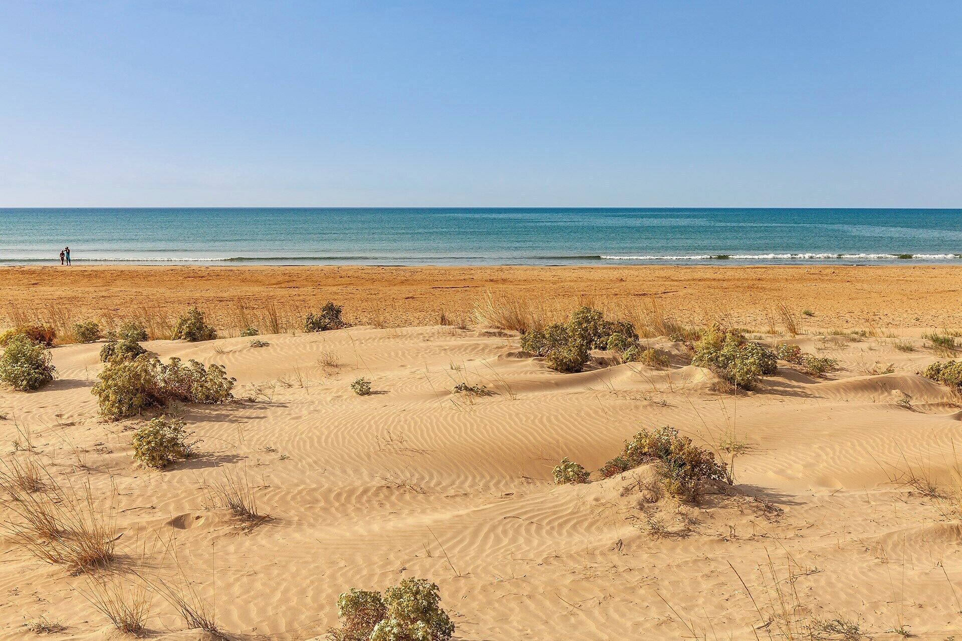 Paisaje desértico con dunas de arena y vegetación escasa.
