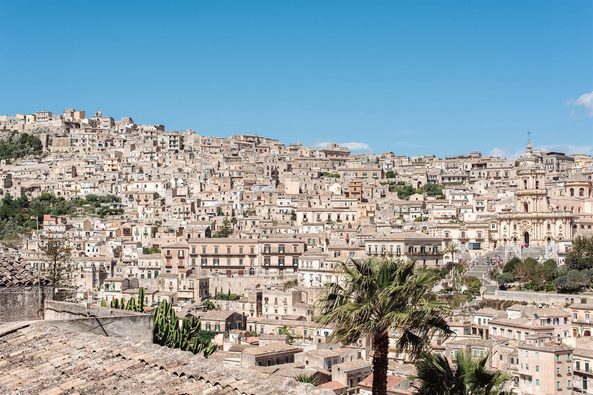 A densely packed urban area with historic buildings, a prominent church, and a palm tree in the foreground.