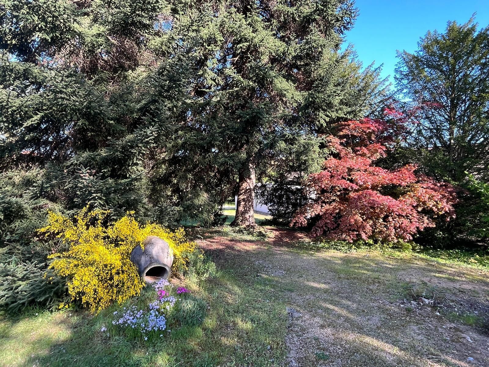 A garden with trees, a pathway, and a decorative structure.