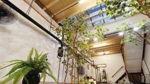 A room with a wooden table, a potted plant, and a large window with natural light. - 5BR Ruma Papanz Moden 30Pax (Melaka)