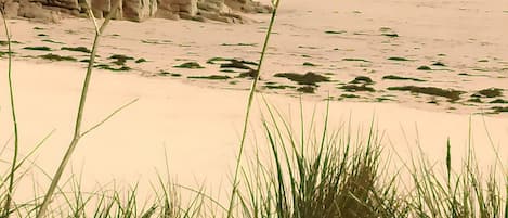 بالقرب من الشاطئ