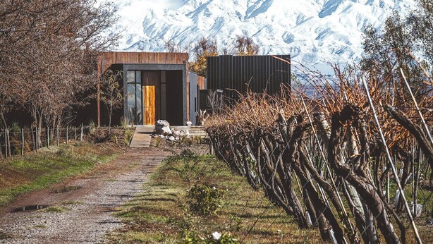Un edificio moderno con fachada de madera y ventanas amplias, rodeado por un viñedo y montañas nevadas al fondo.