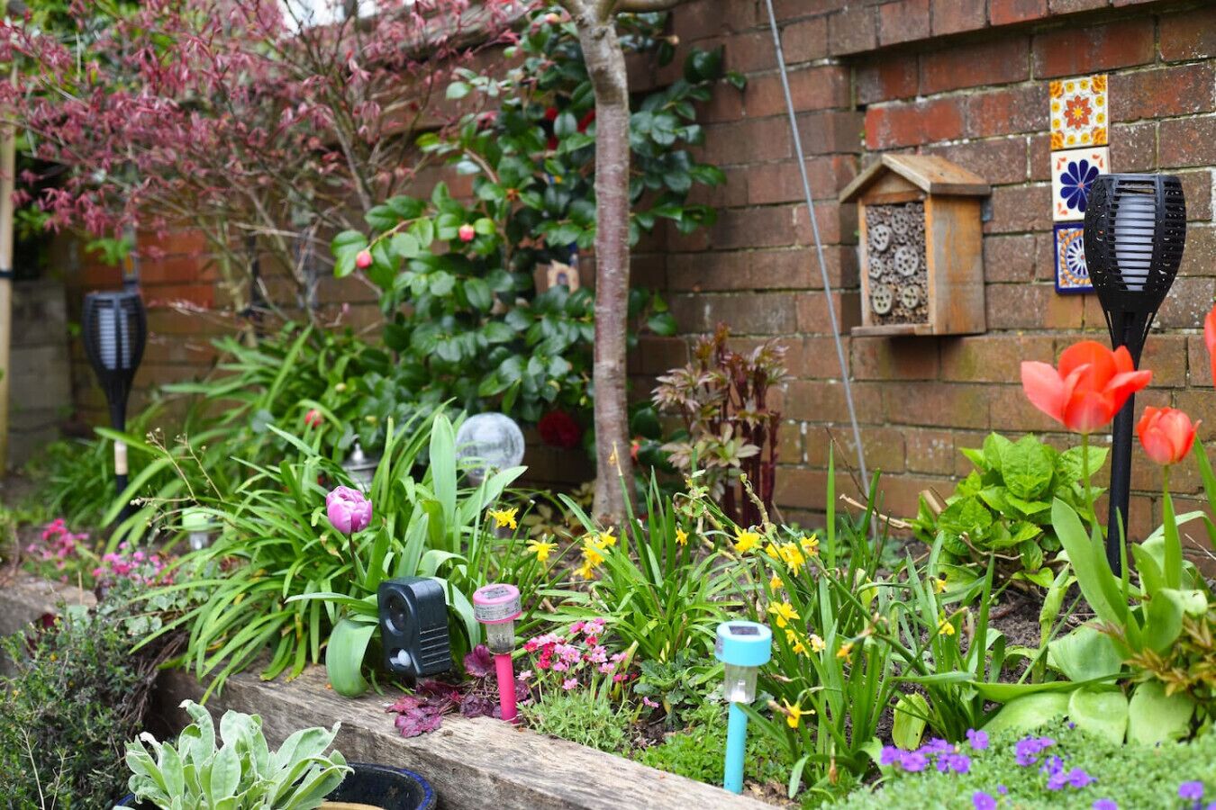 Áreas de la propiedad