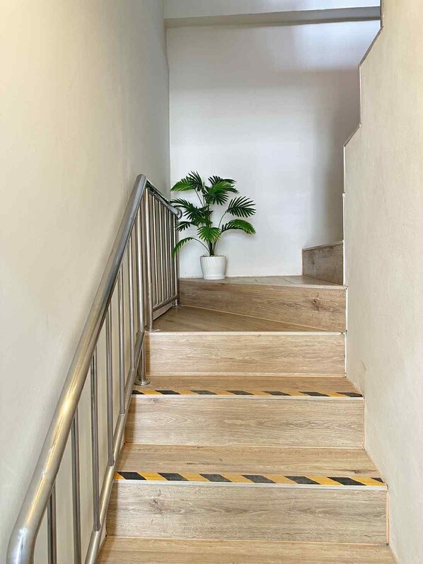 A wooden staircase with metal railings and a potted plant at the top.