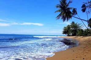 A beach with clear blue water, sandy shore, and palm trees.