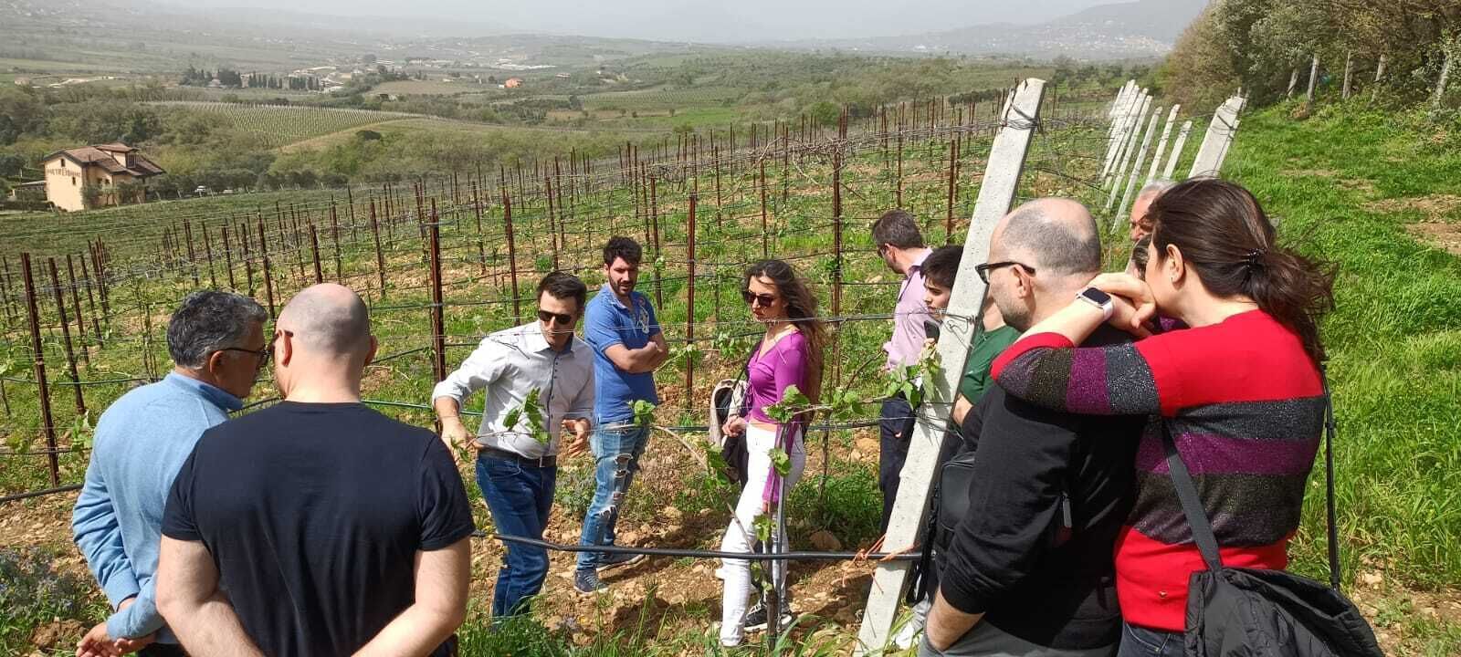 Eine Gruppe von Menschen steht in einem Weinberg zwischen Reihen von Weinreben.