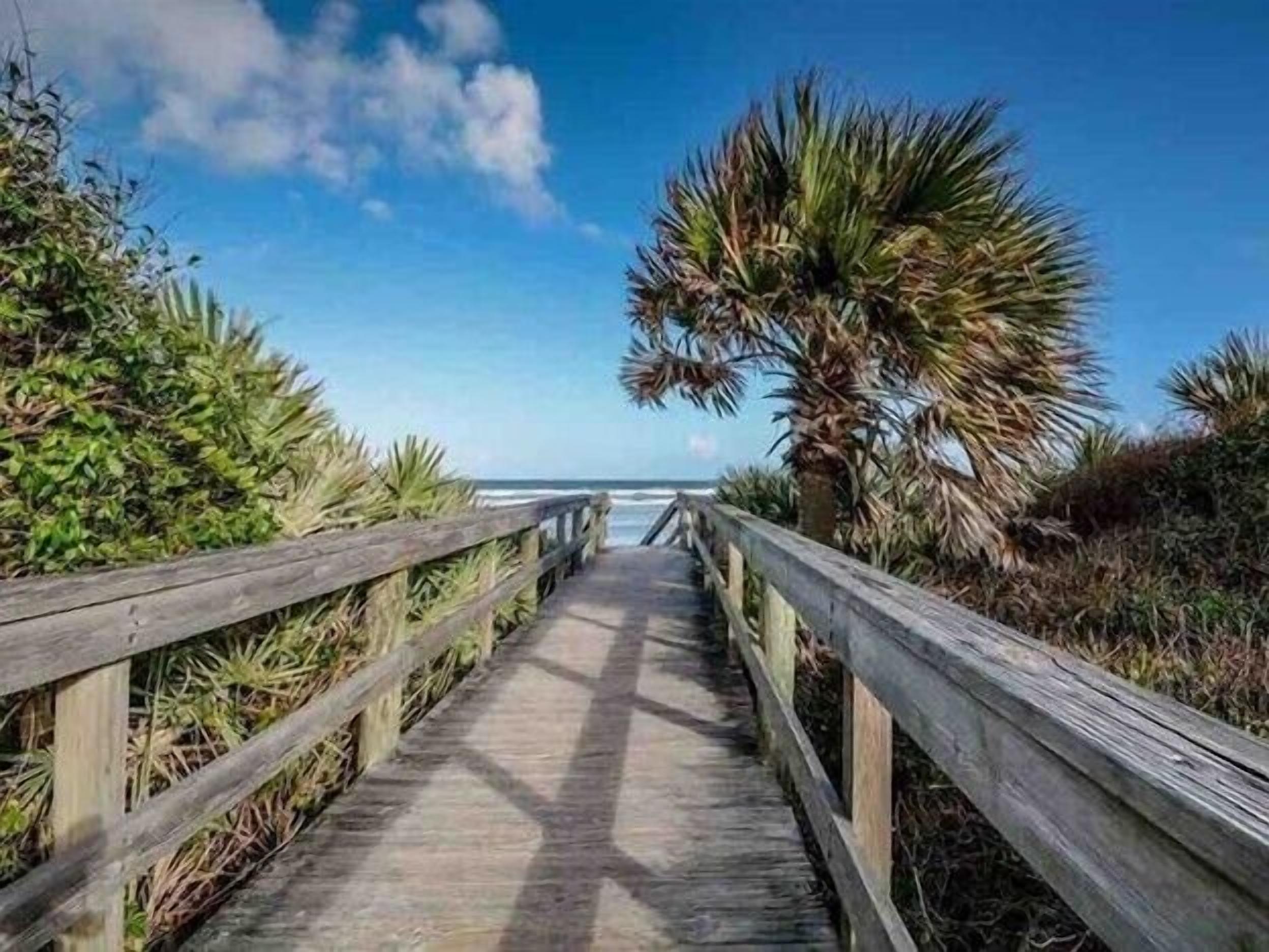 Une promenade en bois menant à une plage bordée de palmiers et offrant une vue sur l’océan.