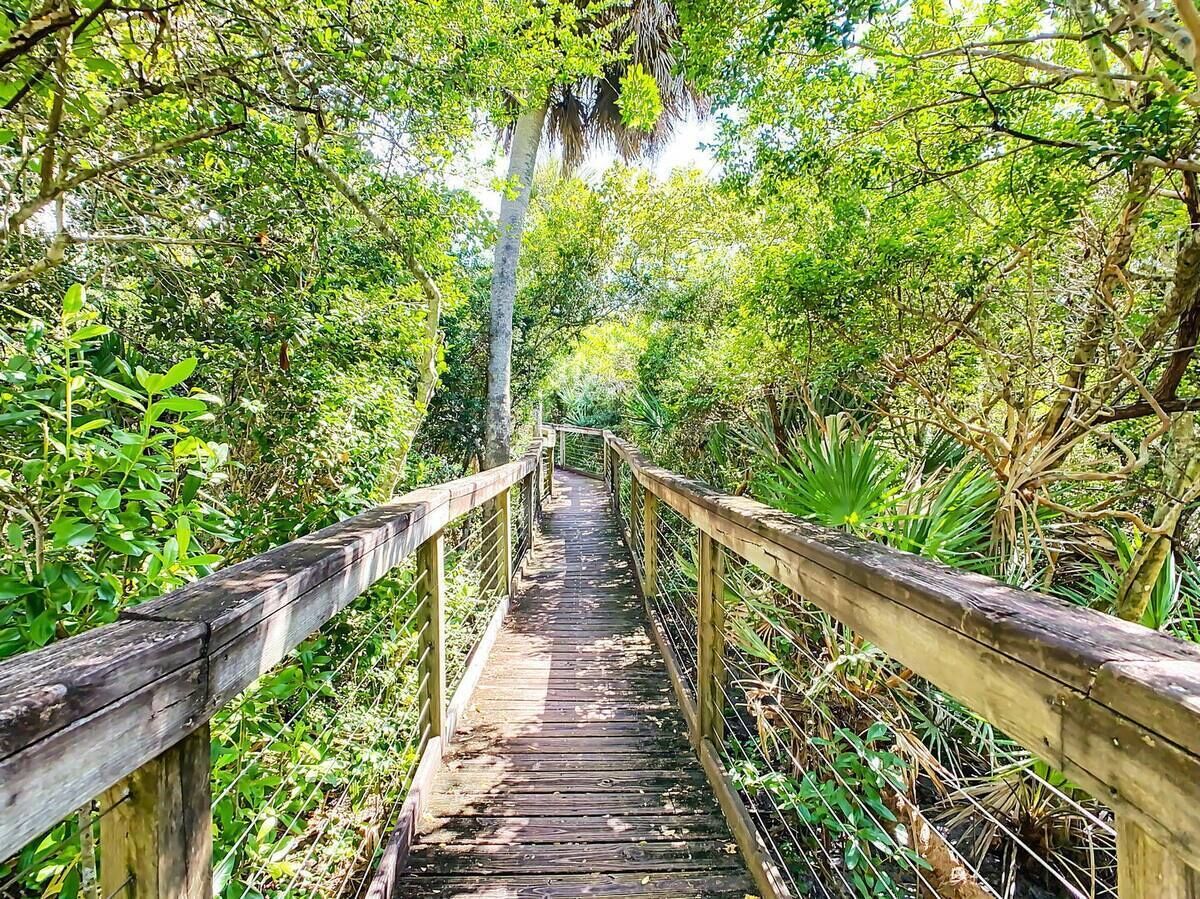 A wooden boardwalk surrounded by dense greenery.