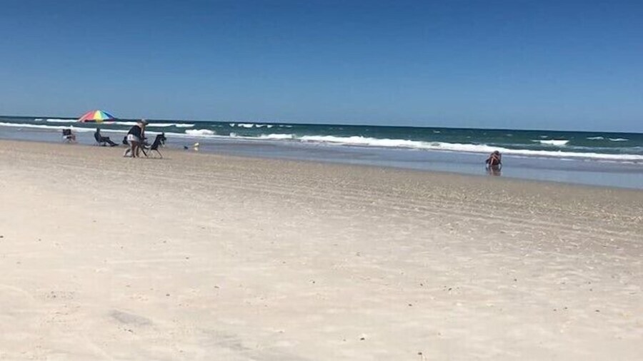 Sunny 3BR Condo Steps to Beach Pool NSB FL