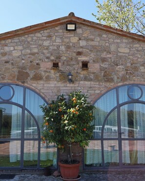Exterior detail