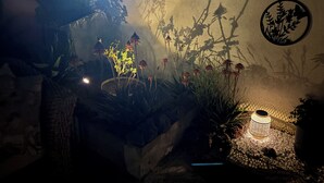 Un giardino interno scarsamente illuminato, con diverse piante e un muro decorativo.
