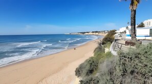 Une plage avec un ciel dégagé, un rivage sablonneux et quelques personnes qui se promènent.