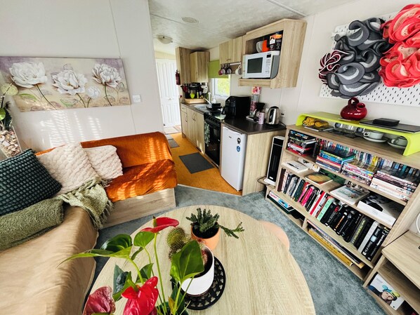 TV, DVD player, books, video library