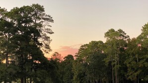 A golf course with a winding path, sand bunkers, and dense trees. - Adorable Golf Course House in Tallahassee (Tallahassee)