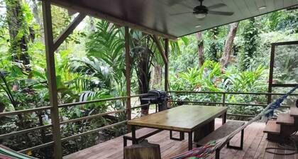 Tiny home nestled in the jungle near surf, snorkel, and wildlife in Bocas.