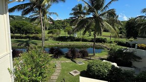 Une piscine avec vue sur un jardin aménagé, des palmiers et un étang.