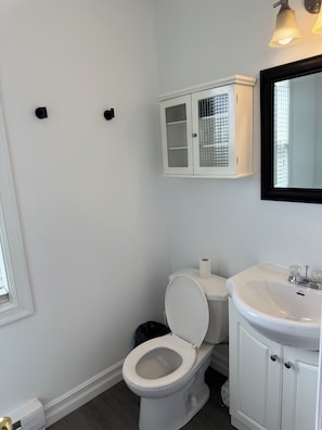 Hair dryer, towels