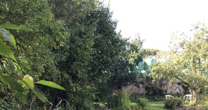 Small Eifel oasis to switch off and relax, vacation apartment 60 sqm