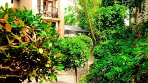 A narrow alley with dense greenery, a building with a balcony, and a covered outdoor seating area. - Novus Guest House (Pretoria)