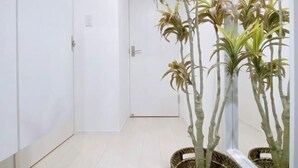 A hallway with white walls and a wooden floor. There are tall plants in wicker baskets along the right side. - Nestay apartment Tokyo Ginza (Tokyo)