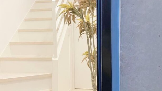 A staircase with white steps leading upwards, a blue-framed window, and a potted plant to the right. - Nestay apartment Tokyo Ginza (Tokyo)