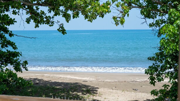 A beach view framed by trees, with clear blue water and a sandy shore.