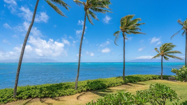 Un paysage tropical avec des palmiers, un ciel bleu azur et une vue sur l’océan.