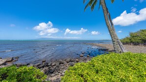 Une plage tropicale aux eaux d’un bleu limpide, avec un palmier et une côte rocheuse.