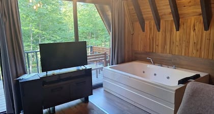 Enchanting bungalow with AC in Ordu
