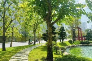 Vườn