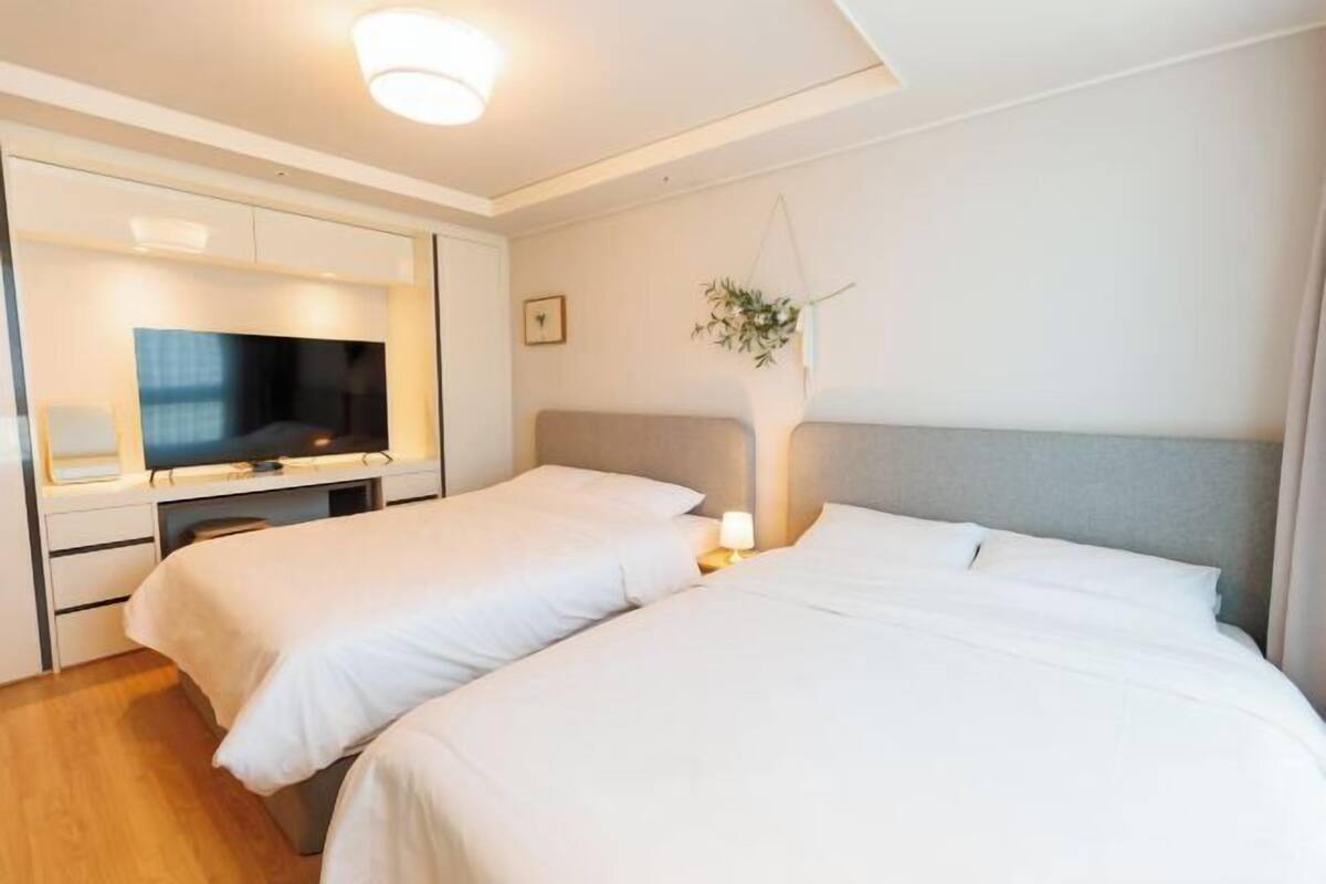 Une chambre d’hôtel avec deux lits, une télévision, un bureau et une plante fixée au mur.