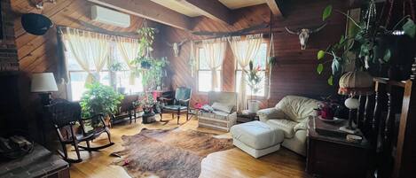 Smart TV, chimenea y libros