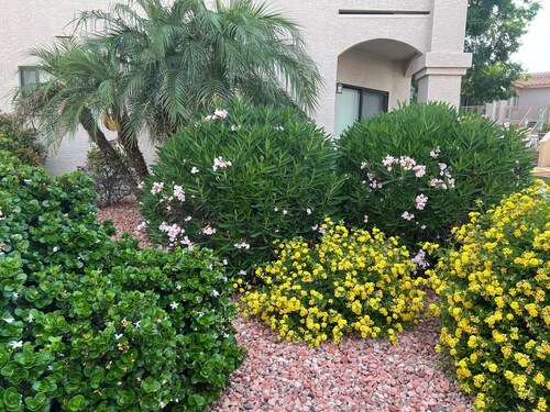 Sun City Area SW Design-A Lovely Condo in 55+ Gated Com-Heated Pool "Has it all"