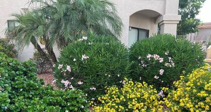 Sun City Area SW Design-A Lovely Condo in 55+ Gated Com-Heated Pool "Has it all"