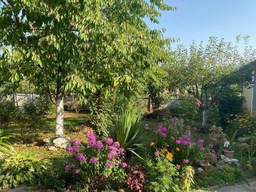 Brilliant 3-bedroom apartment in Chalistavi