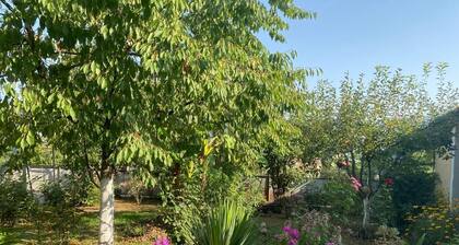 Brilliant 3-bedroom apartment in Chalistavi