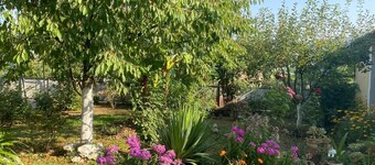 Brilliant 3-bedroom apartment in Chalistavi