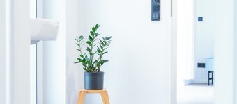 Central | for 6 | free parking | terrace| near the university hospital