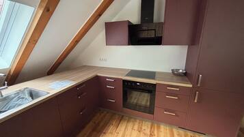 Oven, stovetop, dishwasher