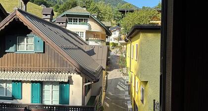 Exclusively renovated, very private but central apartment with large terrace