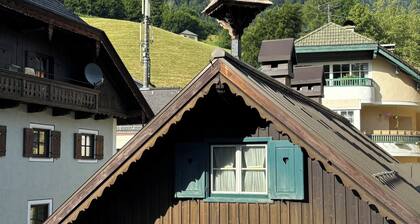 Exclusively renovated, very private but central apartment with large terrace