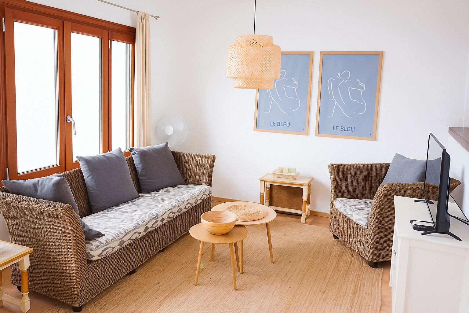 Televisie, een open haard en boeken